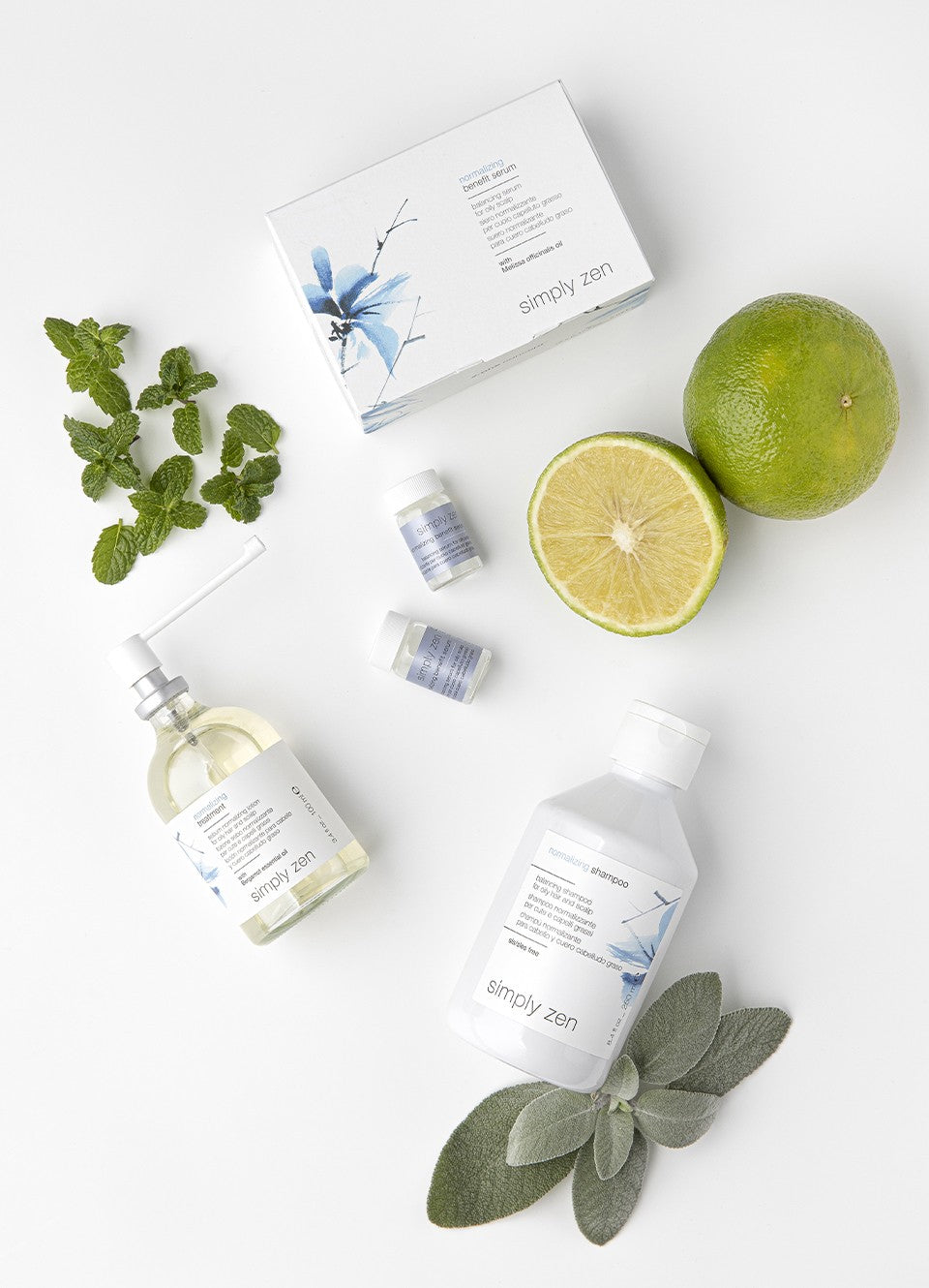 SIMPLY ZEN NORMALIZING SHAMPOO 250ML/1000ML