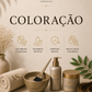 Coloração